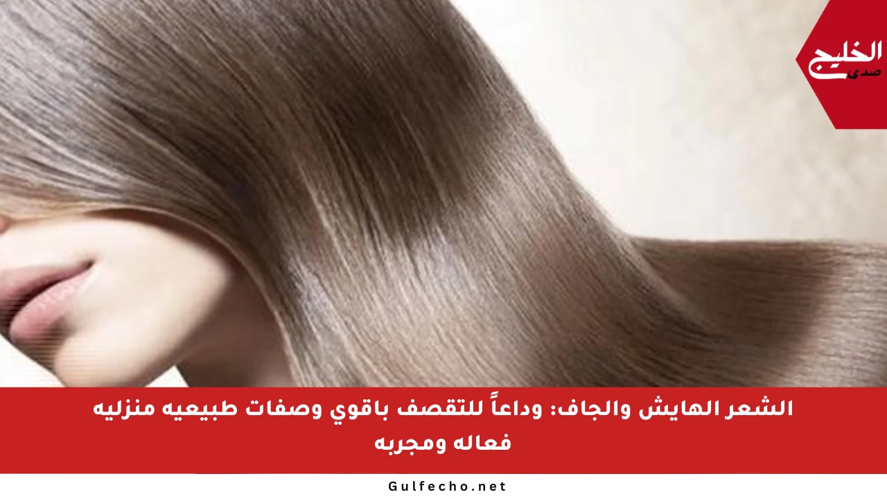 الشعر الهايش والجاف: وداعاً للتقصف بأقوى وصفات طبيعية منزلية فعالة ومجربة